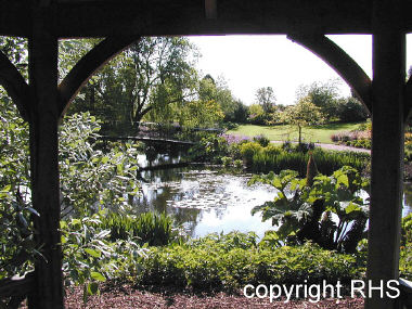 View from a pergola